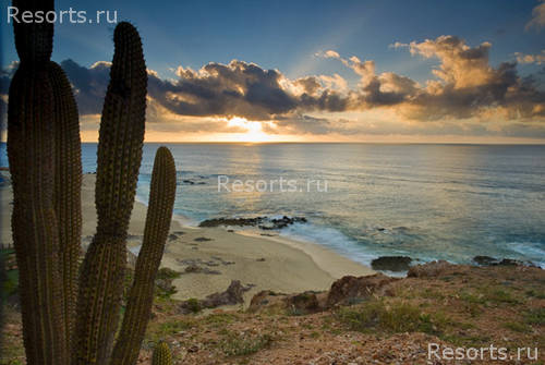 The Westin Resort & Spa 37